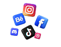 Icon 2